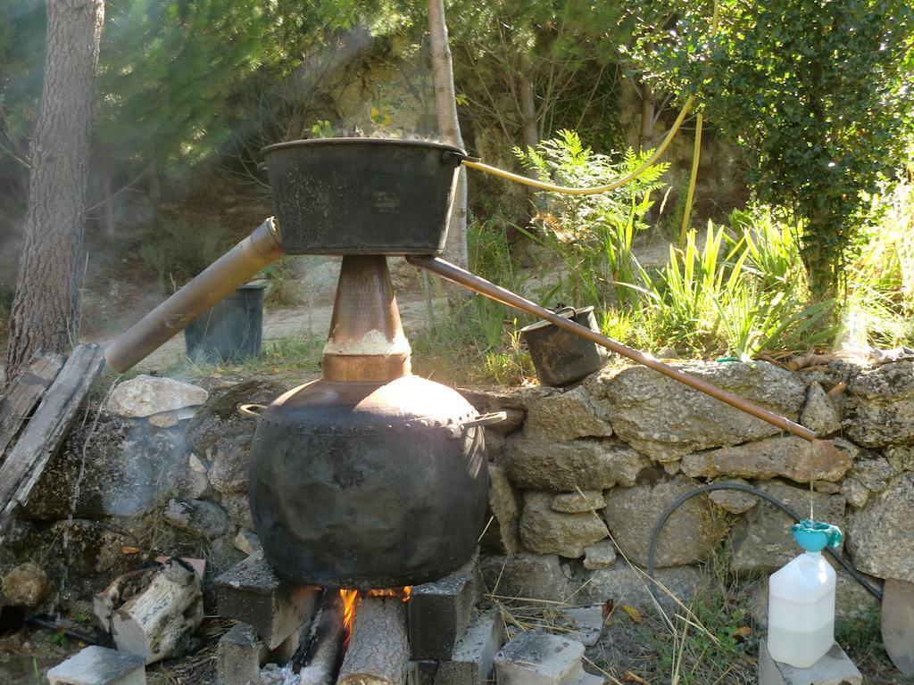 Quinta Do Circo - Serra Da Estrela - Turismo Rural Cortes do Meio Екстериор снимка