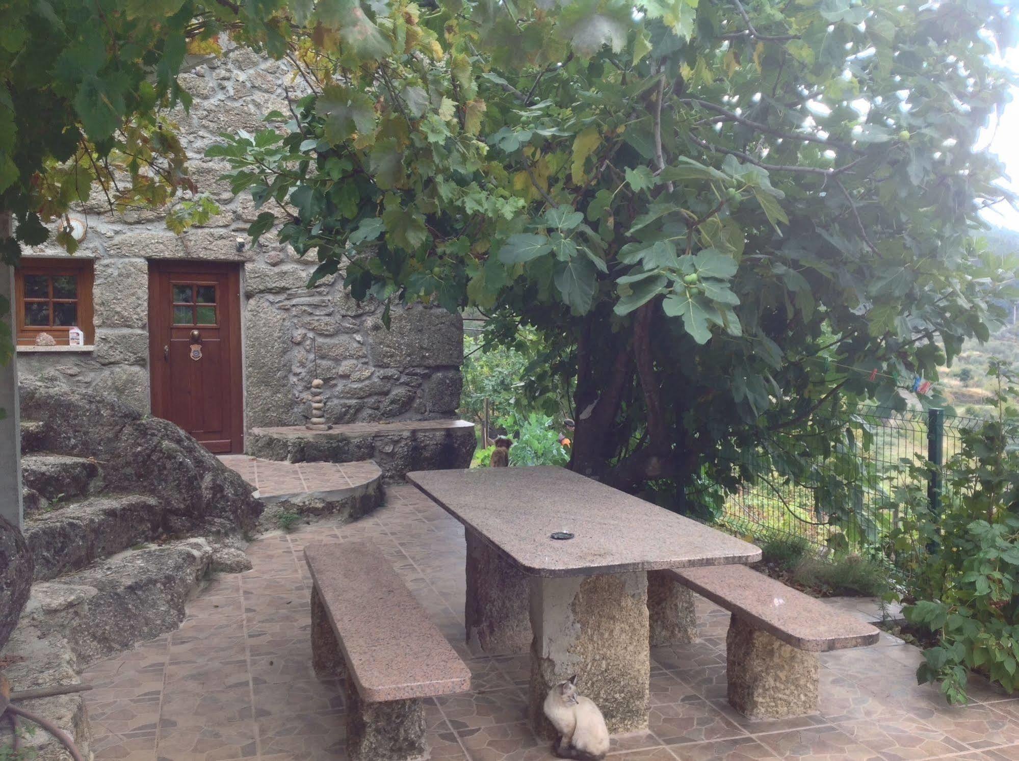 Quinta Do Circo - Serra Da Estrela - Turismo Rural Cortes do Meio Екстериор снимка